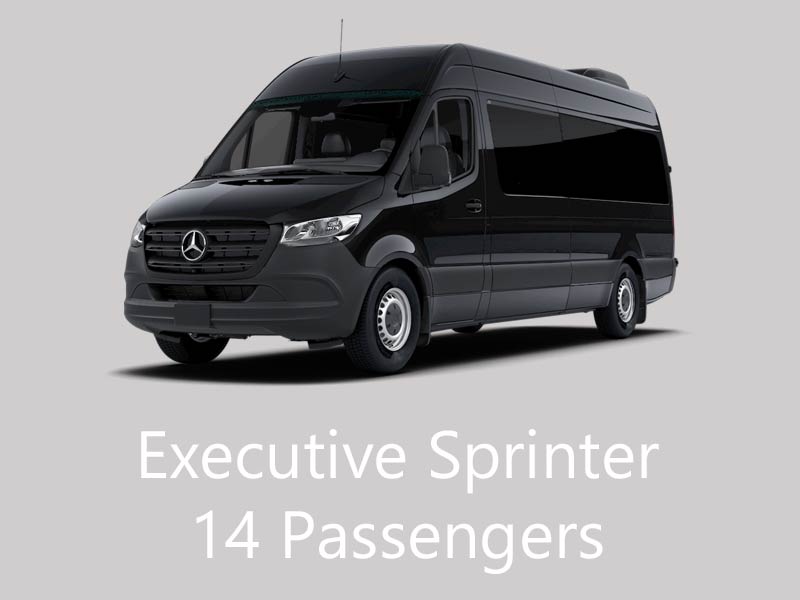 Executive Mercedes Sprinter