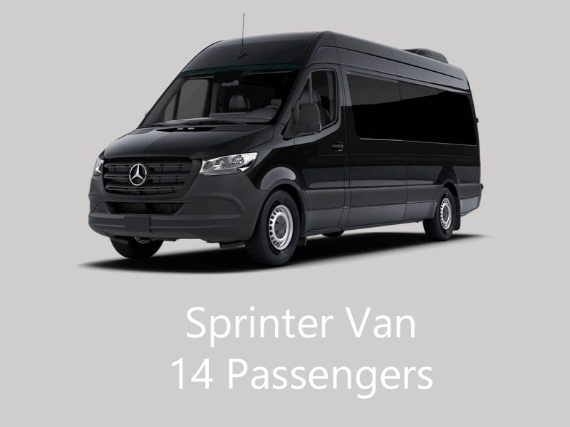 Detroit Sprinter Van