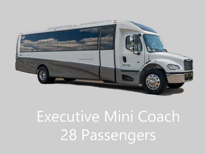 Executive Mini Coach Detroit