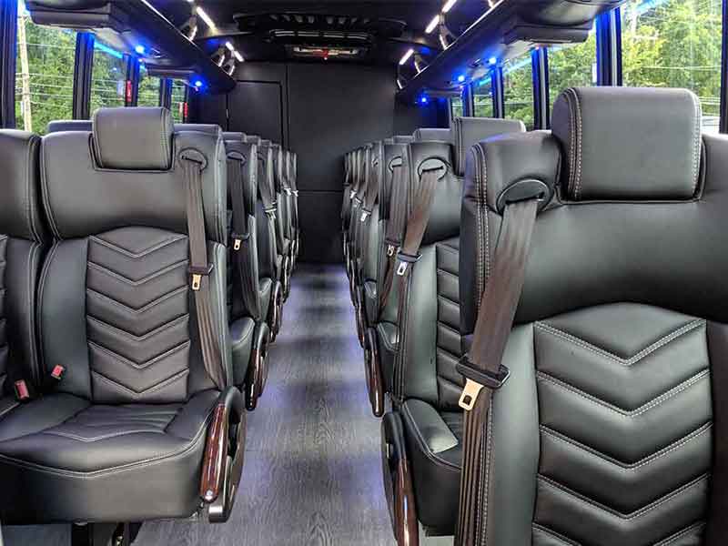 Executive Mini Coach Detroit